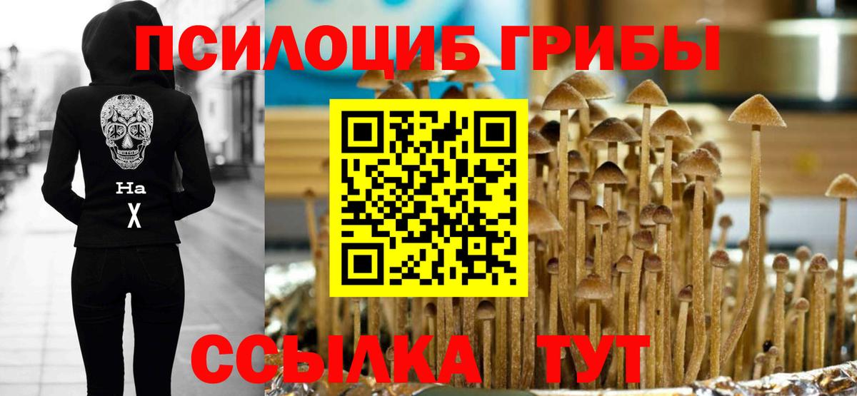 Галлюциногенные грибы Psilocybe  Вход с VPN  Минеральные Воды 